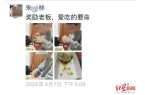 ag8九游会j9登录入口9岁坠亡围棋少年